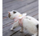 Dream Angel Wings Cat Harnesses Cat Leash