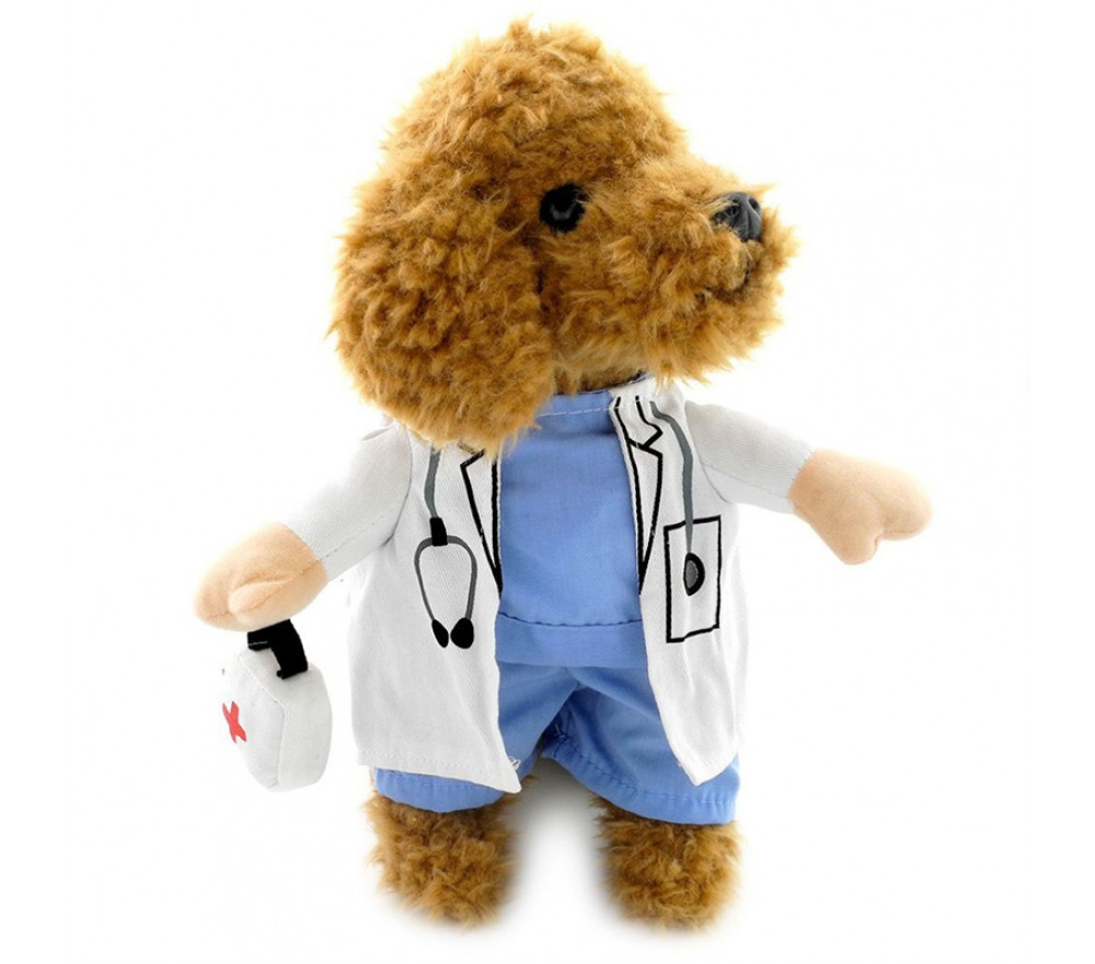 Cat Dog Doctor Costume for Halloween