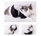 Cat Maid Outfit Halloween Pet Costume