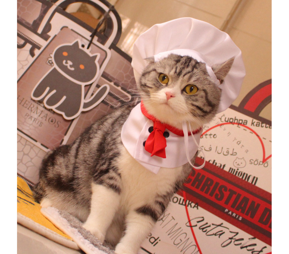 Delicious Chef Cat Costume