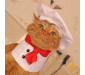Delicious Chef Cat Costume