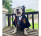 Harry Potter Gryffindor Dog Costume Cat Wizard Robe