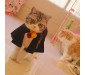 Harry Potter Gryffindor Dog Costume Cat Wizard Robe