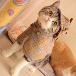 Sherlock Holmes Detective Cloak Cat Costume