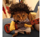 Cat with Guitar Costume Pug Guitarist Costumes