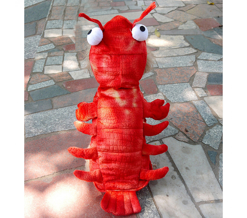 Funny Animal Dog Lobster Costumes