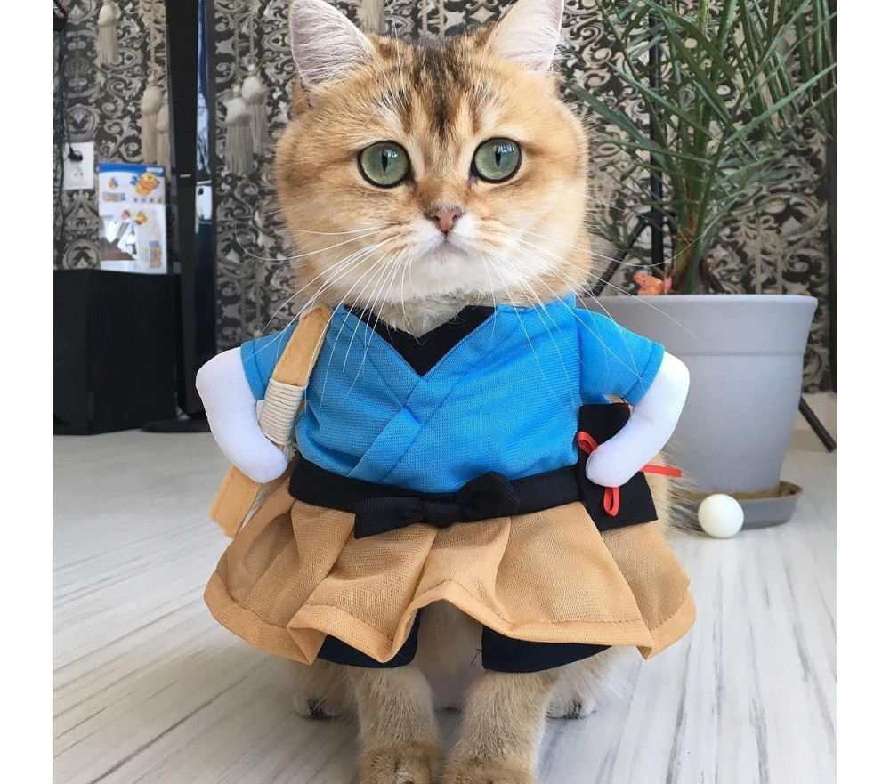 Takashima Cat Halloween Costume Two-legged Japanese Style