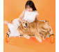 Elevated Pet Bed Portable Raised Cots Dog Beds