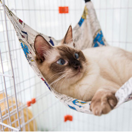 Cat Cage Hammock Hanging Cat Bed Canvas