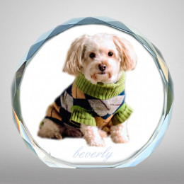 Custom 3D Picture Glass Crystal Personalized Pet Gifts for Pet Lovers