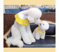 Custom Dog Bandanas Personalized Pet Bandana Collar Saliva Towel