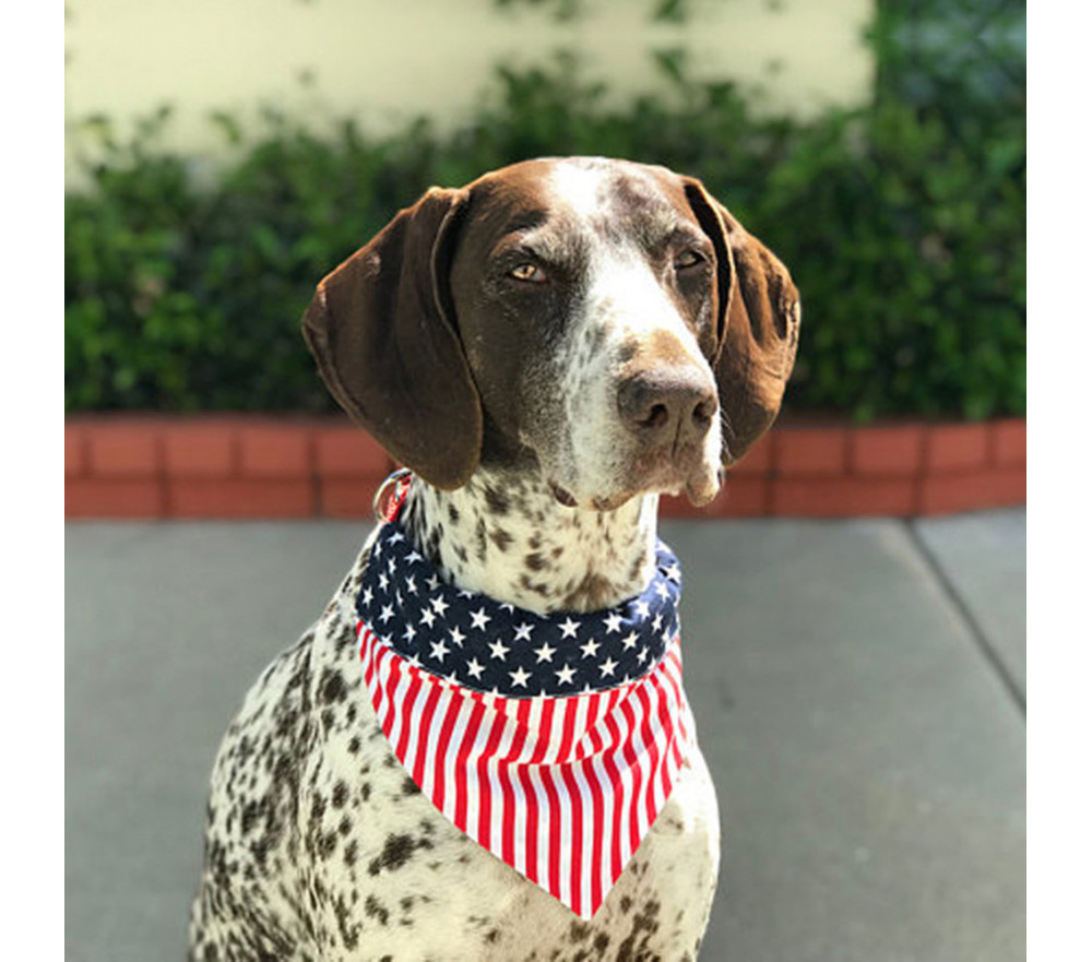 American Flag Dog Bandana Collar Cute Puppy Bandana