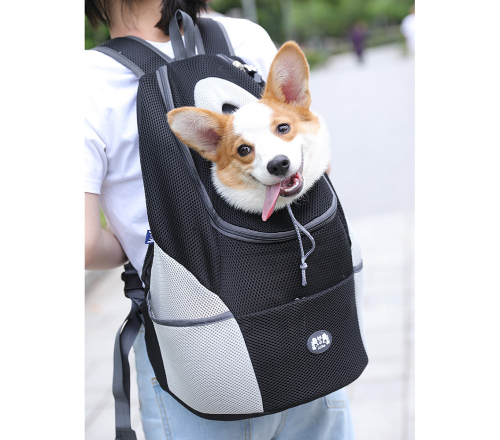 Mesh Dog Carrier Backpack Small Medium Dog Travel Bags