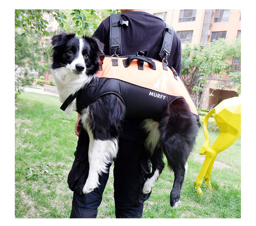 Medium/Large Dog Carrier Portable Outdoor Backpack