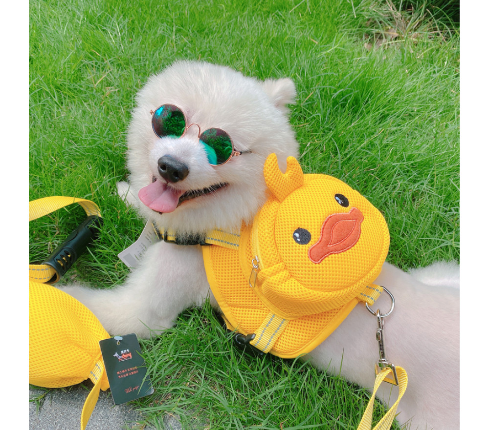 Yellow Duckling Backpack for Small Dogs