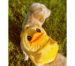 Yellow Duck Dog Backpack for Hiking