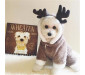 Coral Fleece Dog Winter Clothes with Elk Antlers