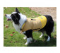 Reversible Dog Winter Jacket with Harness Hole Quilted Snow Coat