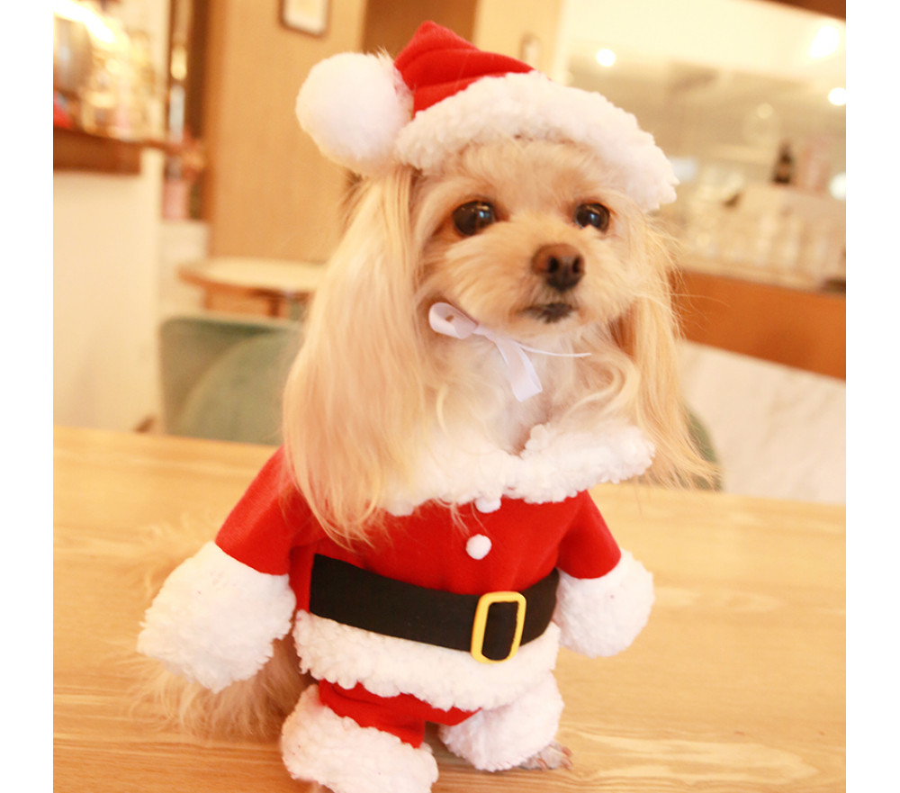 Santa Claus Pet Costume Dog Two-legged Clothes