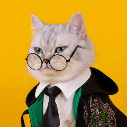Harry Potter Costume Glasses Tie Pet Accessories