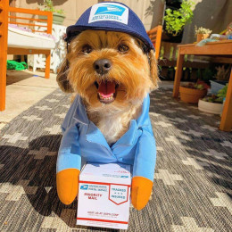 USPS Mailman Dog Costume