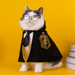 Harry Potter Hufflepuff Dog Costume Cat Wizard Robe