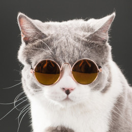 Round Sunglasses for Small Pets
