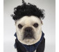 Black Short Curly Wig for Dogs