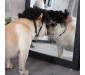 Black Short Curly Wig for Dogs