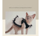 Vintage Lace Tutu Dress for Cats and Dogs