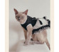 Vintage Lace Tutu Dress for Cats and Dogs