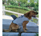 Shark Dog Life Jacket Ripstop Pet Flotation Vest