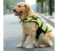 Lightweight Dog Life Vests for Swimming with Handle