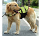 Lightweight Dog Life Vests for Swimming with Handle