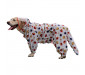 Cartoon Dog Raincoat With Hood Breathable Raincoat