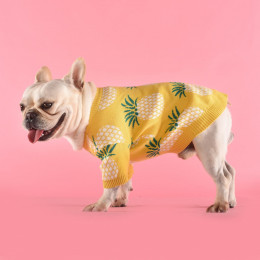 Pineapple Dog Sweaters for Small Medium Dogs