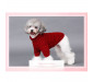 2-legged Turtleneck Sweater for Small Dogs