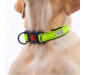 Adjustable Nylon Reflective Dog Collar Green