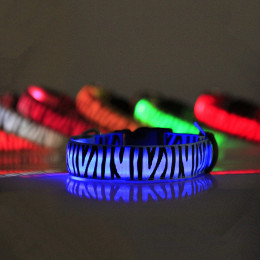 USB Rechargeable Light Up Dog Collar