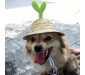 Dog Straw Hat with Grass Bud
