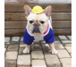 Round Brim Yellow Hat for Dogs