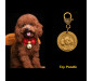 Custom Dog ID Tags Personalized Unique Engraved Dog Tags 