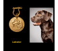 Custom Dog ID Tags Personalized Unique Engraved Dog Tags 