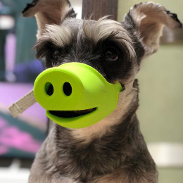 Cute Pig Snout Soft Dog Muzzle for Walking Training