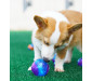 Squeaker Dog Ball Soft Elastic Dog Chew Toy 2 PCS