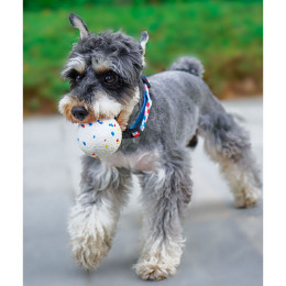 Colorful Bouncy Dog Ball Dog Chew Toy