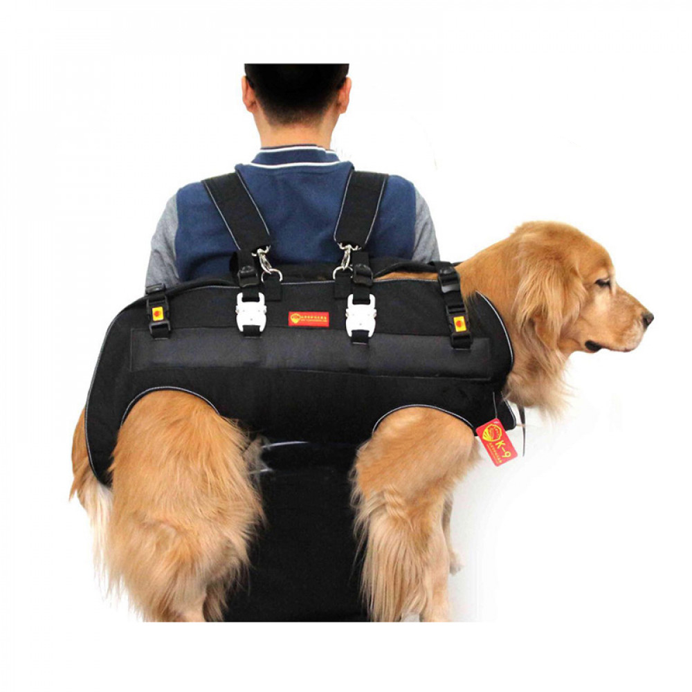 large dog travel bag