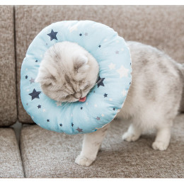 Comfy Donut Cat Surgery Cone Soft Pet Dog Spay E Collar Alternative