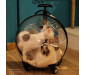 Transparent Breathable Cat Bubble Trolley Bag