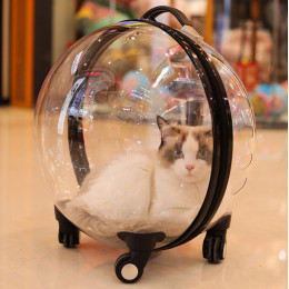 Transparent Breathable Cat Bubble Trolley Bag